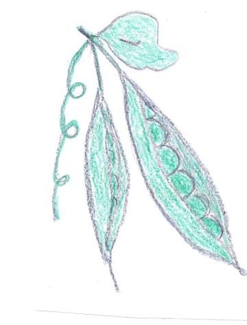 Green Pea Salad