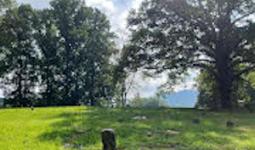 More than 32 surnames of families are buried in the Hamilton Cemetery, in Union Country, Tn.