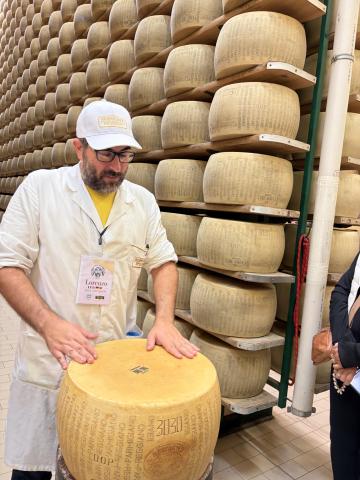 Cheese Master inspecting the parmigiana