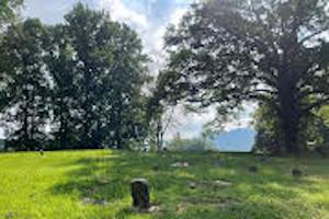 Photo submited by Alice Hamilton More than 32 surnames of families are buried in the Hamilton Cemetery, in Union Country, Tn.