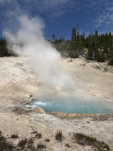 Geyser 