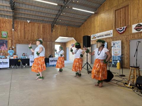 2026 Halls Hula Dancers