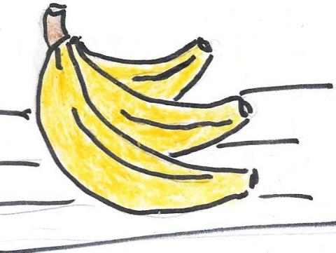 Hand drawen picture of bananas