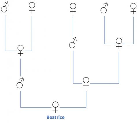 Beatrice the bee's family tree