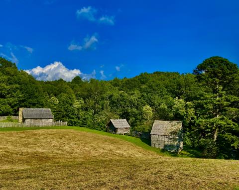 Photo by Steve Roark Photo by Steve Roark