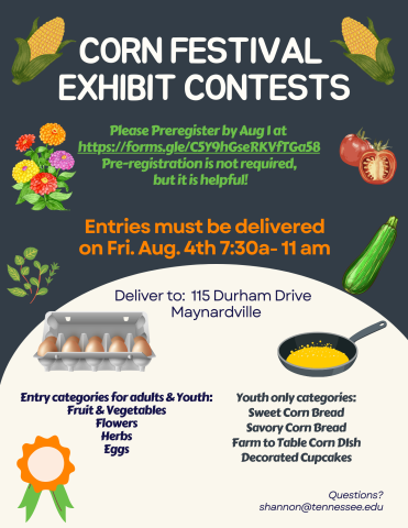 Corn Festival Entries Flyers
