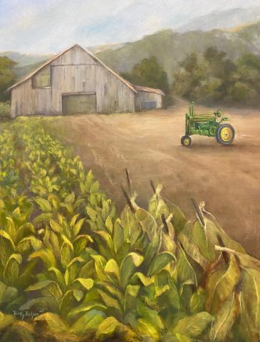 A field of tobacco with a tractor and a barn.