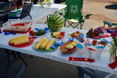 Union County 4-H students entered vegetable dishes featuring corn in the Youth and Corn Festival.