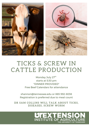 Flyer promoting a UT Extension program on ticks, screwworms, and cattle production, featuring images of a cow, a tick, and a fly, with event details for July 27 at 5:30 p.m. and dinner provided.