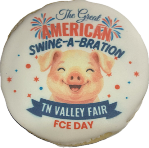FCE Day TN Valley Fair.