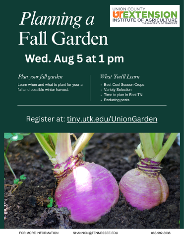 Flyer promoting a 'Planning a Fall Garden' workshop hosted by Union County UT Extension on Wednesday, August 5 at 1 p.m., with registration information and a photo of purple turnips growing in a garden