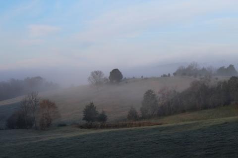 Fog Lifting - Union County, Tennessee 