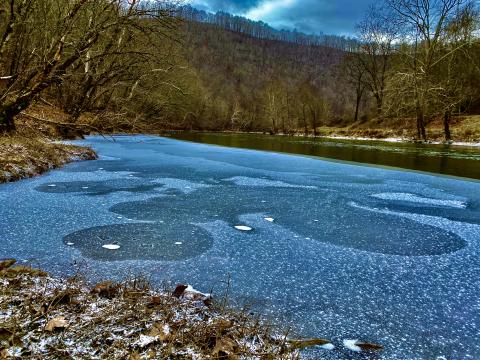 Photo by Steve Roark