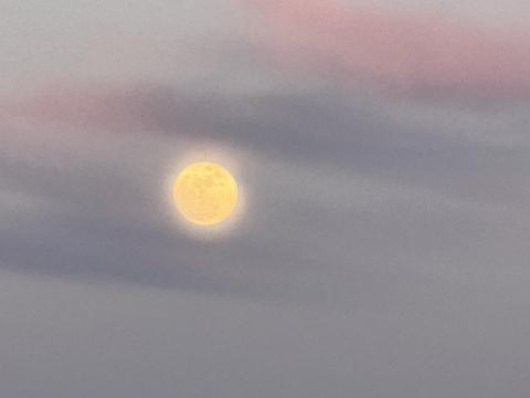 Long ago The Harvest Moon gave light after sunset so farmers could get their fall crops in.