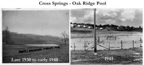 Oak Ridge Pool Cross Springs