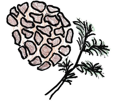 Artwork by Shirley McMurtrie