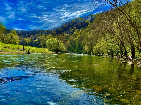 Photo by Steve Roark