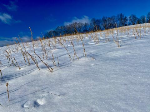 There is no denying that a fresh snowfall adds a touch of serenity to a landscape.