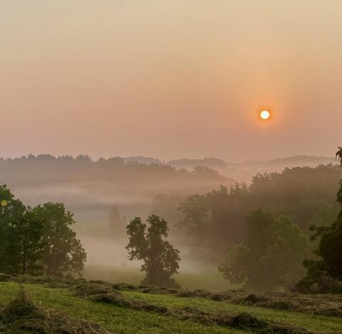 Photo by Steve Roark
