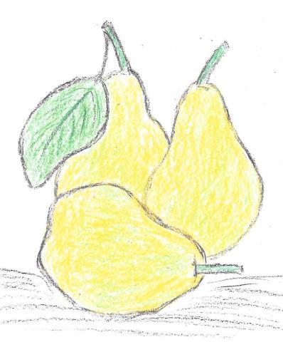 Sour Cream Pear Pie Historic Union County