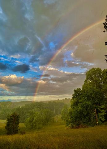 Photo by Steve Roark