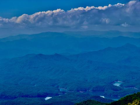 The hot hazy days of July and August are referred to as Dog Days, which has an interesting history.