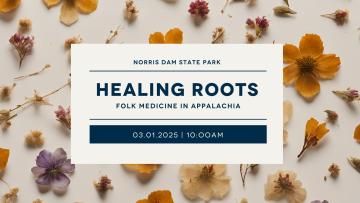 Healing Roots: Folk Medicine in Appalachia