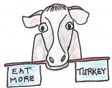Picture of cow holding sign "eat more turkey"