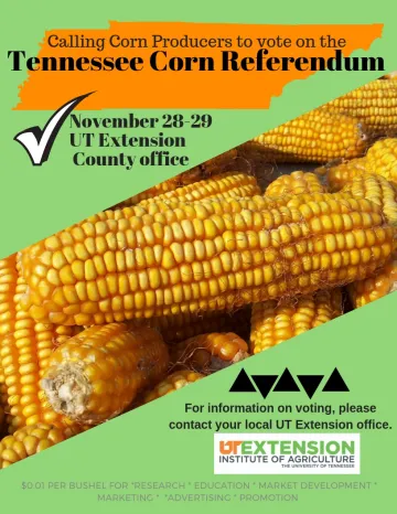 Corn Producers VOTE!