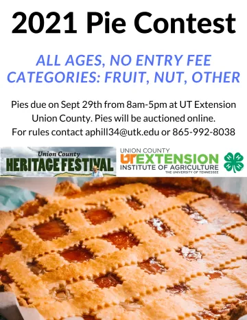 Picture of a pie for pie contest