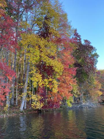 How good fall colors will be is largely based on weather conditions prior to and during the color change. 