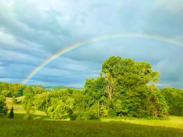 While the rainbow we can see is beautiful, some animals can see even better ones.