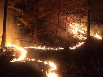 Wildfire moves through the forest by consuming the fuel in front of it, which could include homes in woods unless precautions are taken