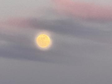 Long ago The Harvest Moon gave light after sunset so farmers could get their fall crops in.