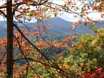 Image of the Great Smoky Mountains National Park used under the Creative Commons license. No alterations have been made.  USchick [CC BY-SA 3.0 (https://creativecommons.org/licenses/by-sa/3.0)]