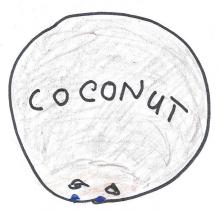 Coconut Drop Cookies