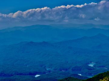 The hot hazy days of July and August are referred to as Dog Days, which has an interesting history.